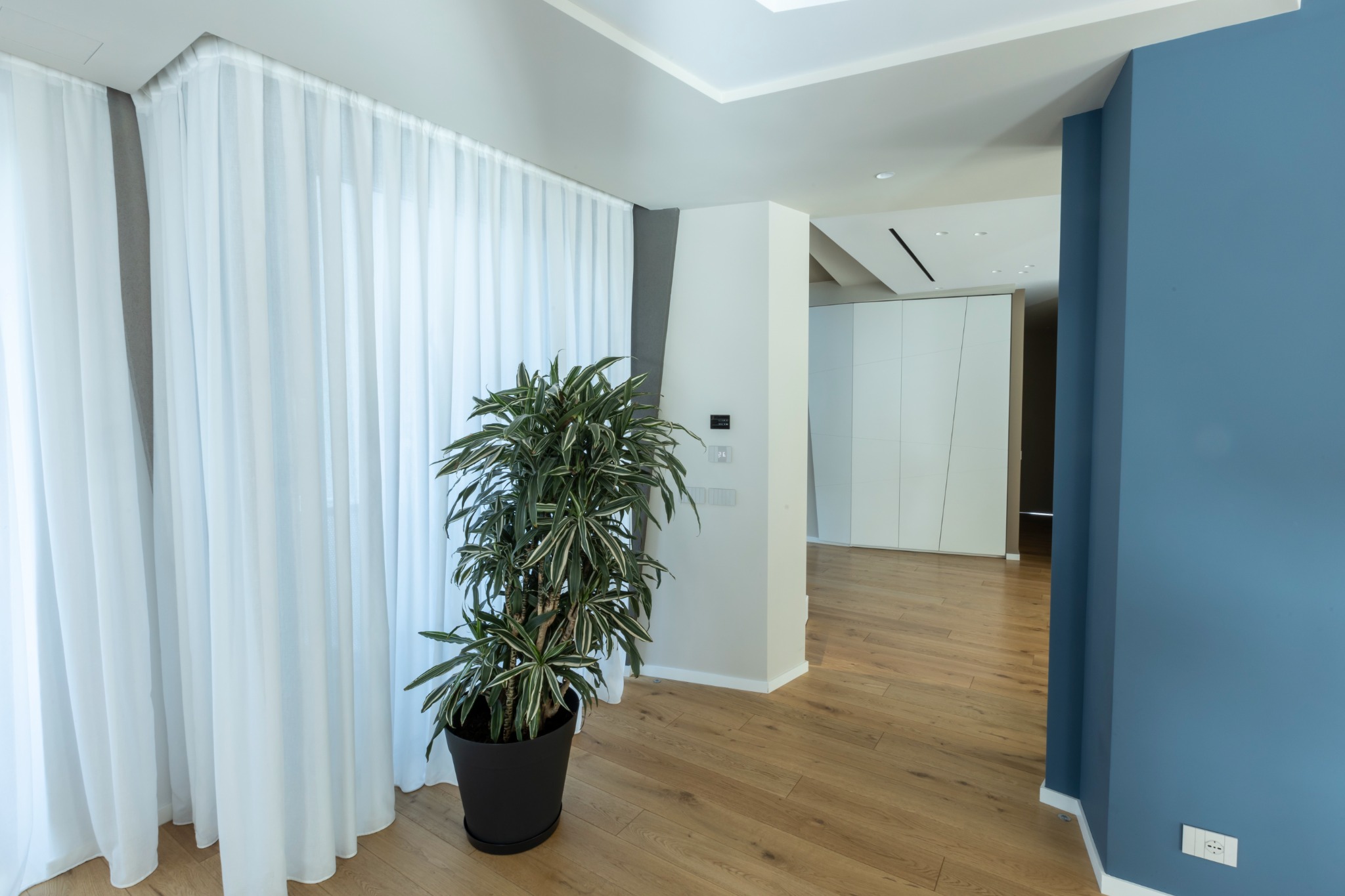 Disimpegno arredato con parete blu e pavimento in legno